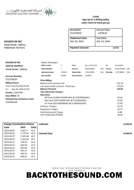 Scarica Palestina Electric Azienda (PEC) Affari Bolletta Bolletta in Word and PDF Formati Campione anteprima