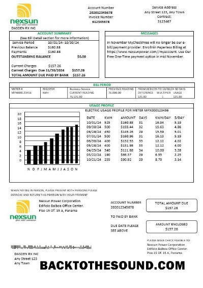 Scarica Panama Nexsun Power Corporation Elettricità Affari Bolletta Bolletta Word and PDF Campione anteprima