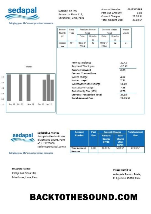 Scarica Perù Sedapal La Atarjea Acqua Affari Bolletta Bolletta in Word and PDF Formati Campione design