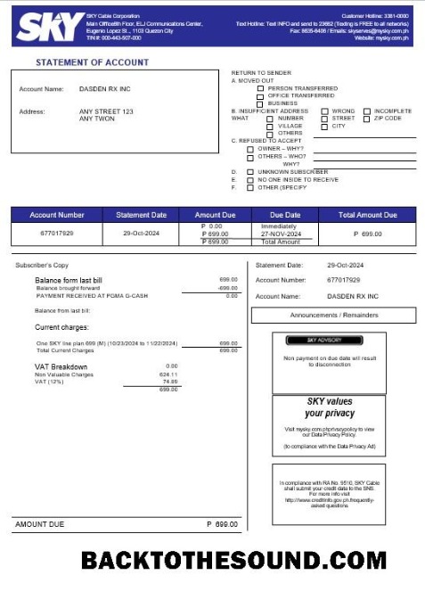 Scarica Filippine Sky Cable Corporation Affari Bolletta Bolletta Word and PDF (2) Campione modello