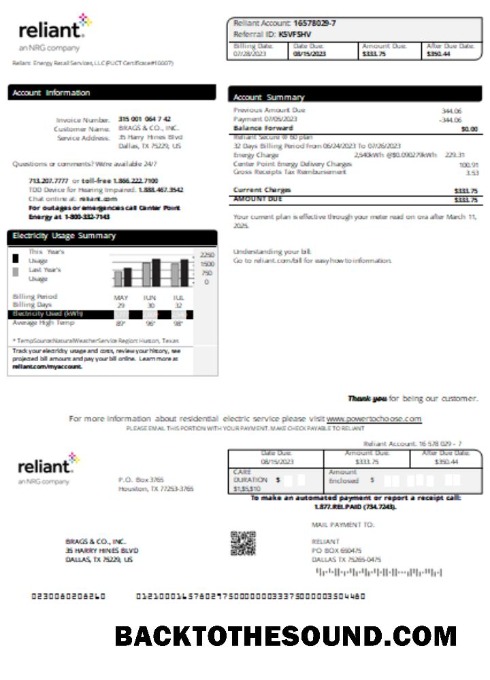 Scarica Reliant Energy Bolletta Affari Bolletta, SCR Campione modello
