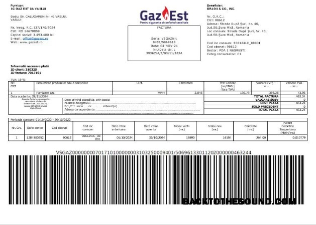 Scarica Romania Gaz Est Affari Bolletta Bolletta Word and PDF Campione modello