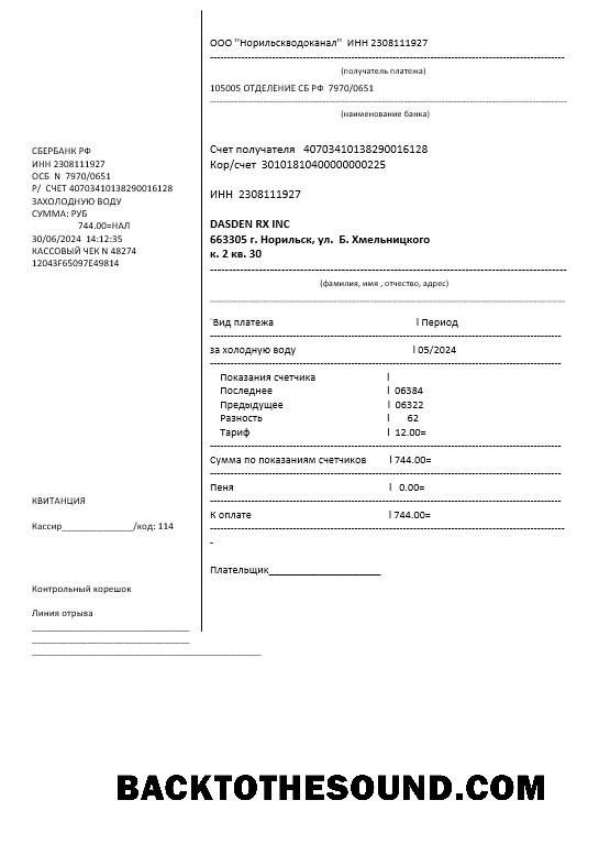 Scarica Russia Acqua Affari Bolletta Bolletta in Word and PDF Formatoս, fully Modificabile Campione anteprima