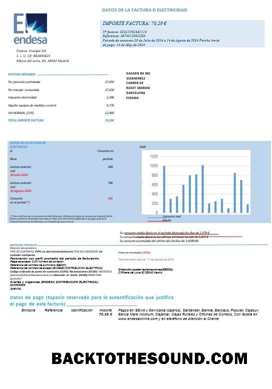 Realistico Scarica Spagna ENDESA Affari Bolletta Bolletta Word and PDF Modello pages1 Campione