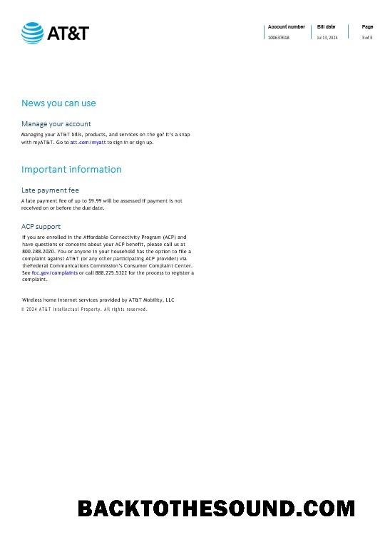 Professionale Scarica Saint Lucia internet Affari Bolletta Bolletta Word and PDF Modello, 3 Pagina Campione