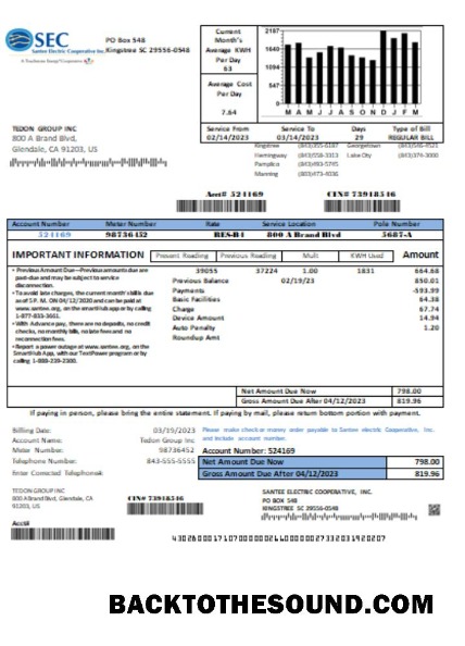 Scarica Santee Electric Cooperative Inc (SEC) proof of address Bolletta Affari Bolletta, SCR Campione campione