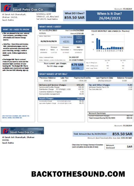 Scarica Saudi Petro Gas Bolletta businessbill, SCR Campione design