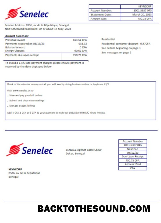 Scarica Senelec Agence Sacré Coeur Azienda Elettricità Bolletta Affari Bolletta, SCR Campione campione