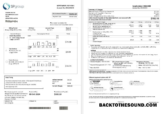 Scarica Singapore SP Group Affari Bolletta Bolletta in Word and PDF Formati (2 pages) Campione design