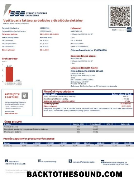 Scarica Slovacchia Stredoslovenka Energetika Affari Bolletta Bolletta in Word and PDF Formati Campione anteprima