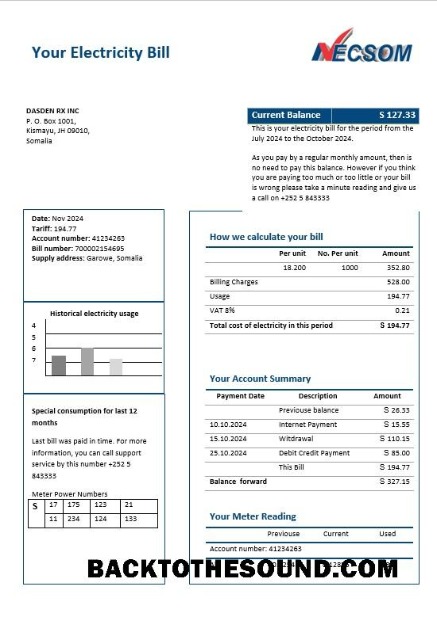 Scarica Somalia NESCOM Azienda Elettricità Affari Bolletta Bolletta in Word and PDF Formati Campione mockup