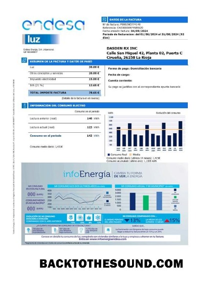 Scarica Spagna Endesa luz Affari Bolletta Bolletta in Word and PDF Formati Campione design