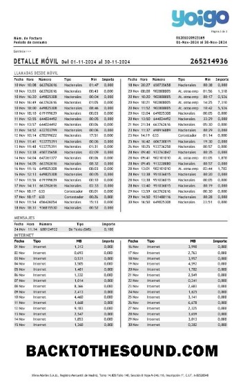 Scarica Spagna Yoigo internet Affari Bolletta Bolletta in Word and PDF Formati, 3 Pagina Campione anteprima