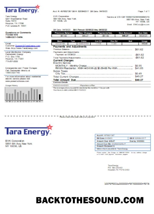 Scarica Tara Energy Bolletta Affari Bolletta, SCR Campione design