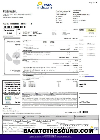 Scarica Tata Indicom mobile Bolletta Affari Bolletta, Pagina 2, SCR Campione design