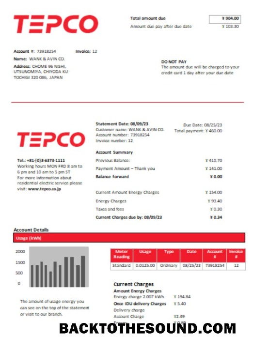 Scarica Tokyo Electric Power Azienda (TEPCO) Elettricità Bolletta Affari Bolletta, SCR Campione mockup
