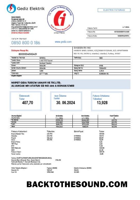 Scarica Turchia Gediz Elektrik Affari Bolletta Bolletta in Word and PDF Formati, fully Modificabile Campione anteprima