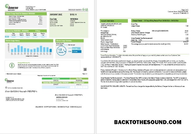 Scarica USA Ameren Missouri Elettricità Affari Bolletta Bolletta in Word and PDF Formati (2 pages) Campione campione