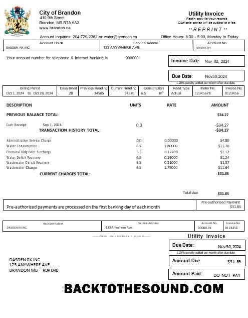 Scarica USA BRANDON MISSISSIPPI Affari Bolletta Bolletta Word and PDF Campione design