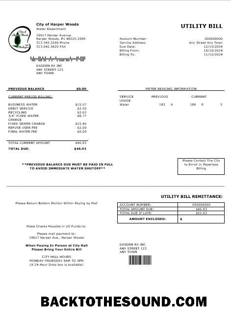 Scarica USA CITY OF HARPER WOODS Affari Bolletta Bolletta Word and PDF Campione design