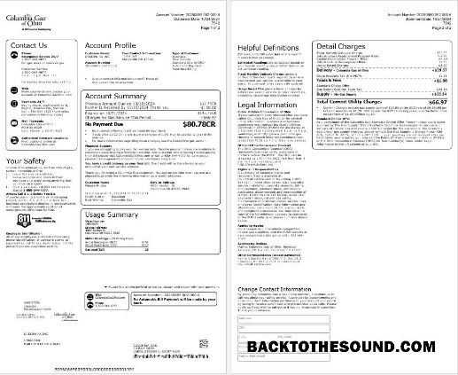 Scarica USA COLUMBIA Gas OF OHIO Affari Bolletta Bolletta Word and PDF Campione campione