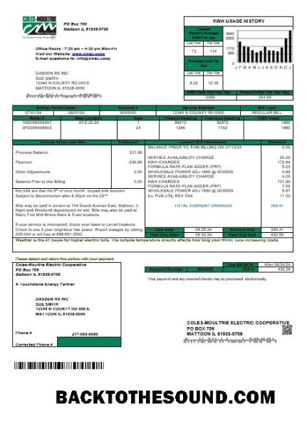 Scarica USA Coles – Moultrie Affari Bolletta Bolletta in Word and PDF Formati Campione modello