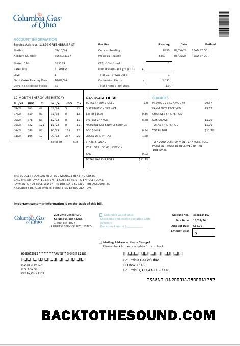 Scarica USA Columbia Gas of Ohio Affari Bolletta Bolletta in Word and PDF Formati Campione design