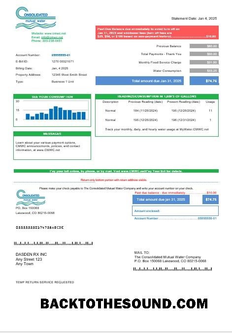 Scarica USA Consolidated Mutual Acqua Affari Bolletta Bolletta in Word and PDF Formati Campione mockup