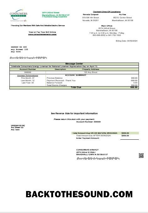 Scarica USA Consumers Energy Affari Bolletta Bolletta in Word and PDF Formati Campione campione