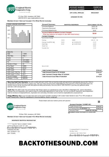 Scarica USA Craighead Electric Affari Bolletta Bolletta in Word and PDF Formati Campione anteprima