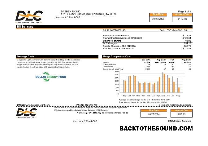 Premium Scarica USA DLC Affari Bolletta Bolletta Word and PDF Modello, Versione 2 Campione