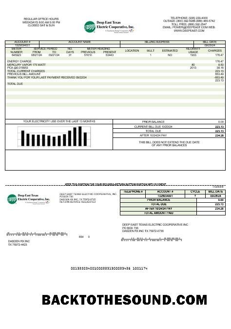 Scarica USA Deep East Texas Electric Affari Bolletta Bolletta in Word and PDF Formati Campione design