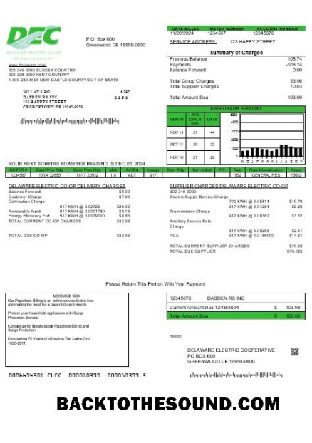 Scarica USA Delaware Electric Co op Affari Bolletta Bolletta in Word and PDF Formati Campione campione