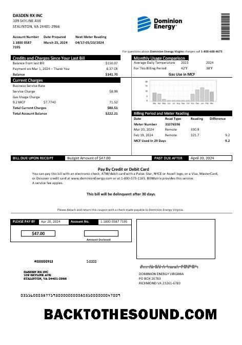 Scarica USA Dominion Energy Affari Bolletta Bolletta in Word and PDF Formati Campione campione