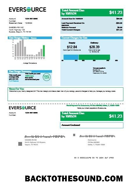 Scarica USA Eversource Gas Affari Bolletta Bolletta in Word and PDF Formati, good for address prove Campione mockup