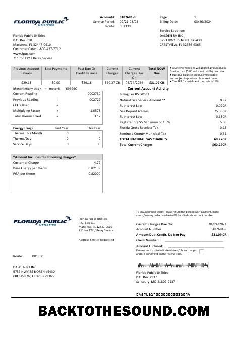 Scarica USA Florida Public Utilities Affari Bolletta Bolletta in Word and PDF Formati Campione design