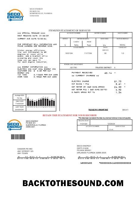 Scarica USA Florida Seco Energy Affari Bolletta Bolletta in Word and PDF Formati Campione anteprima
