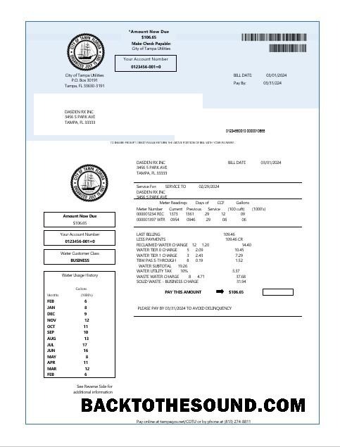 Scarica USA Florida Acqua Affari Bolletta Bolletta in Word and PDF Formati Campione modello