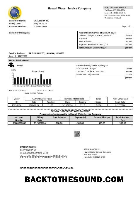 Scarica USA Hawaii Acqua Servizio Azienda Affari Bolletta Bolletta in Word and PDF Formati Campione anteprima