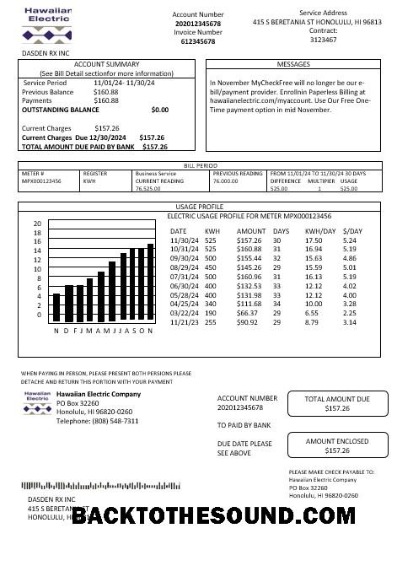 Scarica USA Hawaiian Electric Affari Bolletta Bolletta in Word and PDF Formati Campione mockup