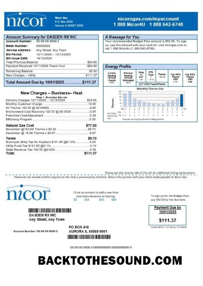 Scarica USA Illinois Nicor Gas Affari Bolletta Bolletta in Word and PDF Formati Campione design