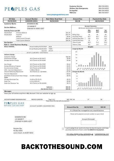 Scarica USA Illinois Peoples Gas Affari Bolletta Bolletta in Word and PDF Formati Campione design
