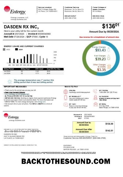 Scarica USA Louisiana Entergy Affari Bolletta Bolletta in Word and PDF Formati, Versione 2 Campione modello