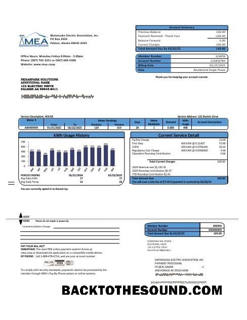 Scarica USA MEA Alaska Elettricità Affari Bolletta Bolletta in Word and PDF Formati Campione modello