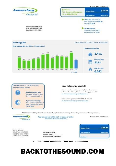 Scarica USA Michigan Consumers Energy Affari Bolletta Bolletta in Word and PDF Formati Campione anteprima