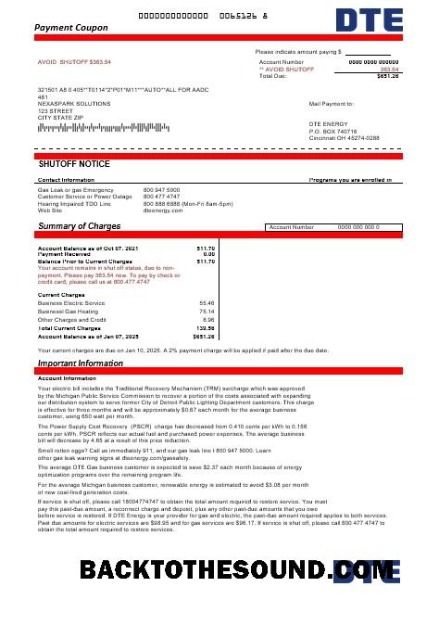 Scarica USA Michigan DTE Energy Affari Bolletta Bolletta in Word and PDF Formati Campione design