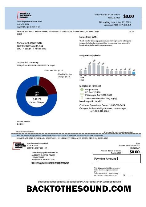 Scarica USA Michigan Elettricità Affari Bolletta Bolletta in Word and PDF Formati Campione modello