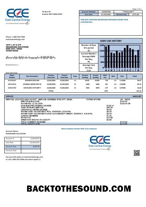 Scarica USA Minnesota East Central Energy Affari Bolletta Bolletta in Word and PDF Formati Campione campione