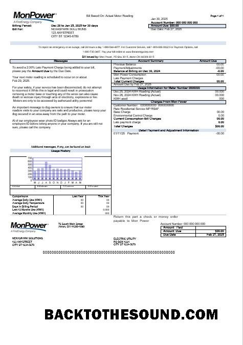 Scarica USA Mon Power Affari Bolletta Bolletta in Word and PDF Formati Campione mockup