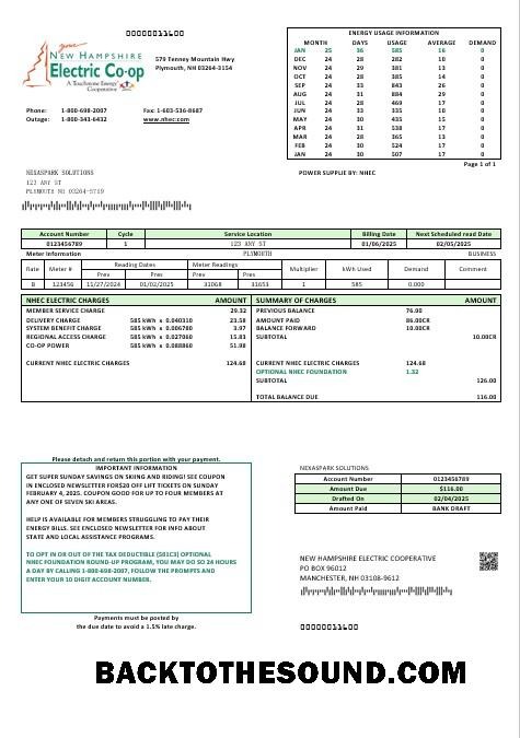 Scarica USA Nuovo Hampshire Electric Co op Elettricità Affari Bolletta Bolletta in Word and PDF Formati Campione modello